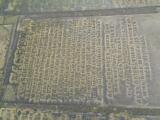 image of grave number 956681